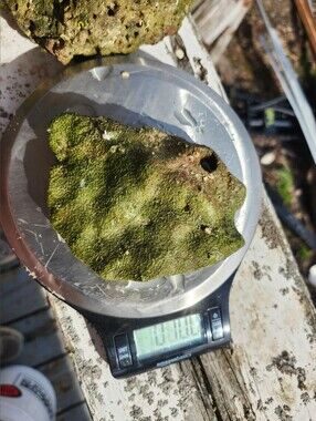 Fiji Dry Base Rock for Saltwater Aquarium Setup Natural Reef Rock Aquascaping